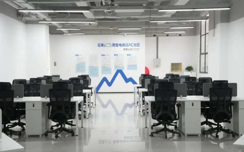 花果山下·数智电商OPC社区