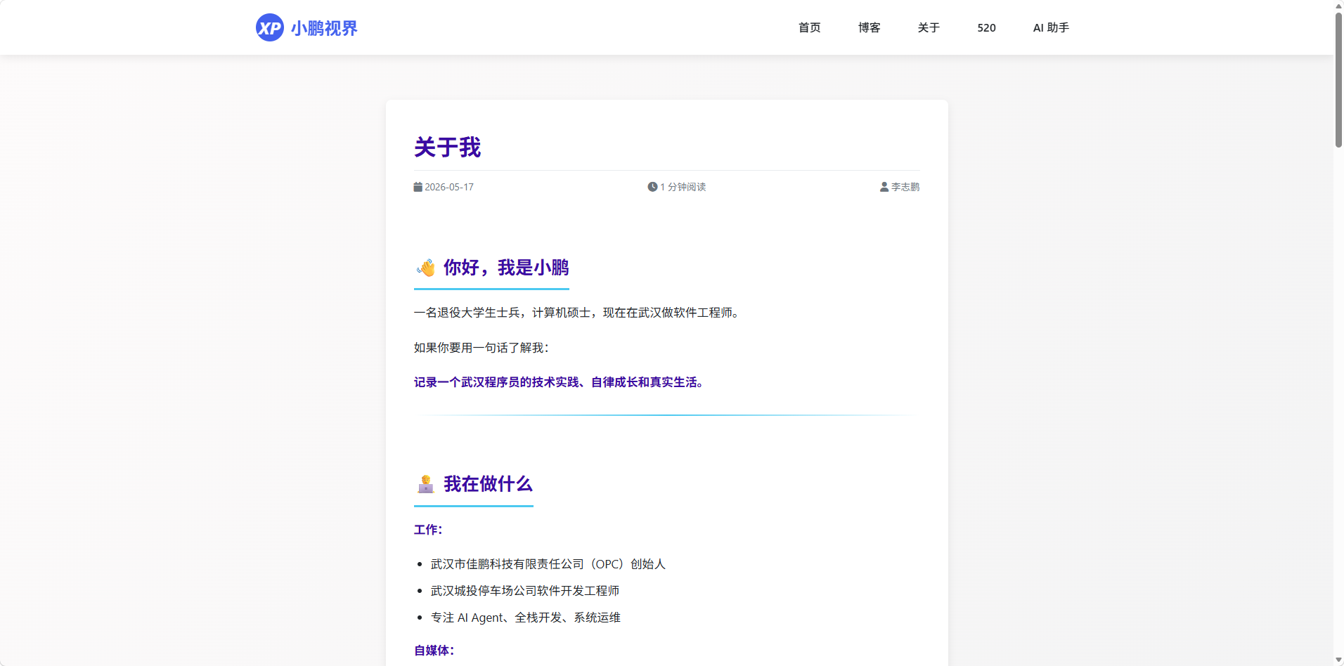 小鹏视界 · AI 助手 截图