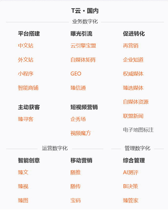 T云 截图