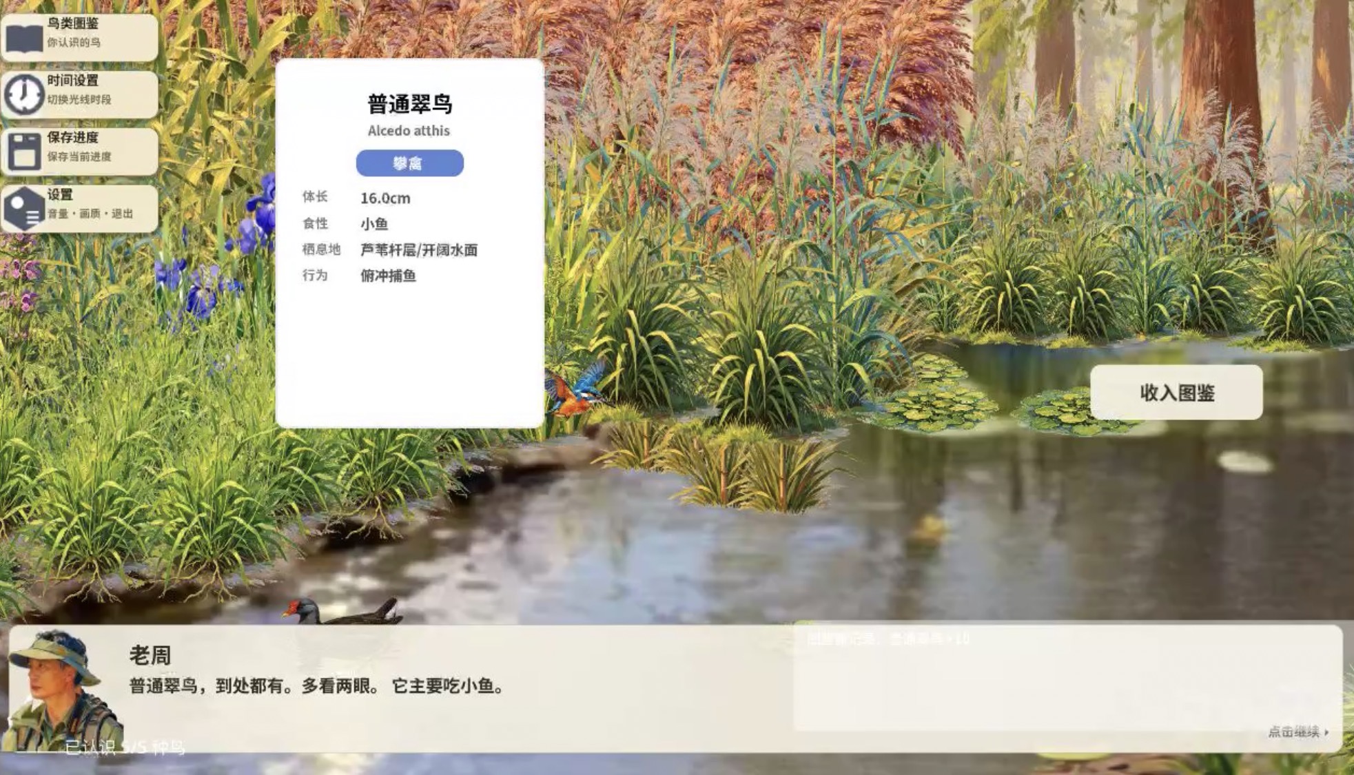 芦苇荡观鸟模拟器 截图