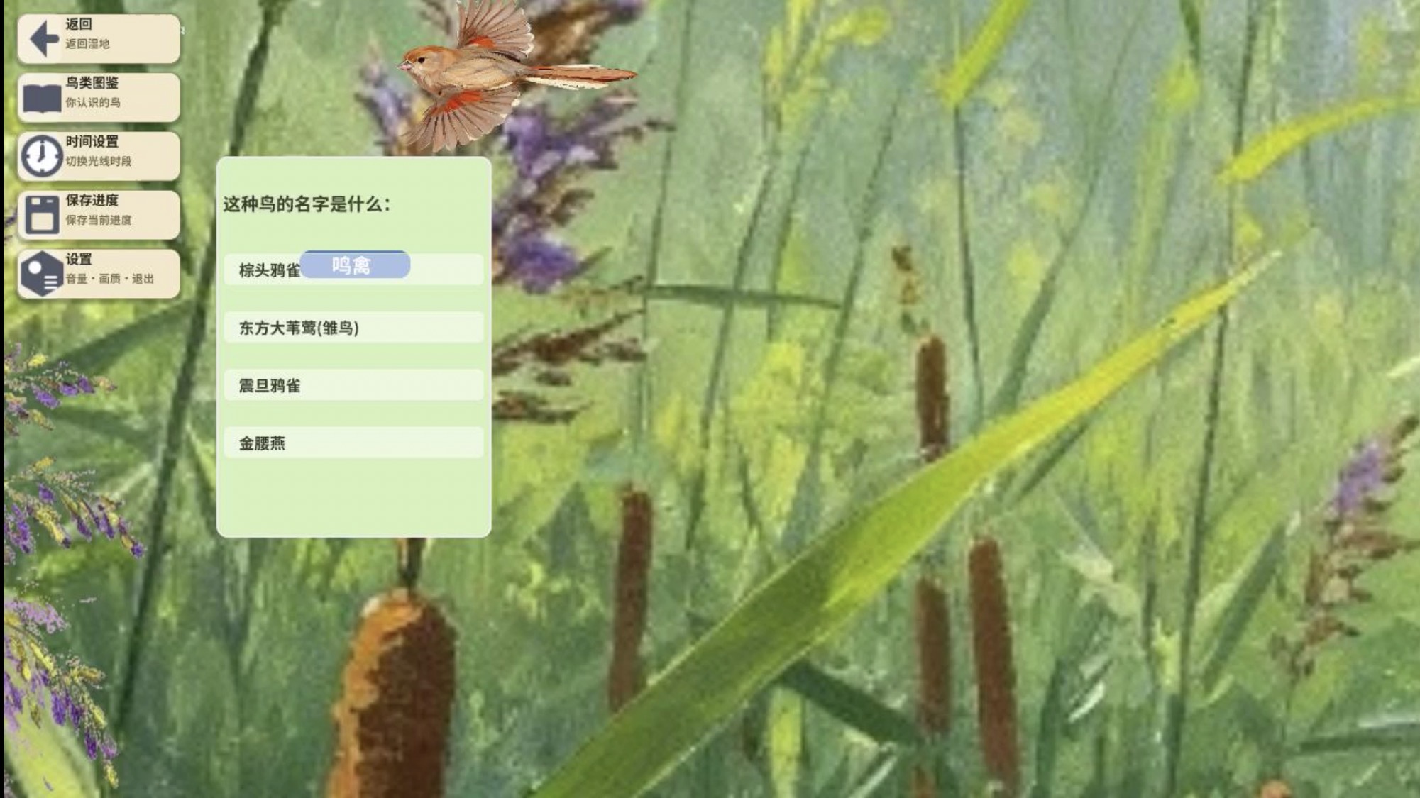 芦苇荡观鸟模拟器 截图